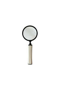 Decor Objects 1: Magnifying Glass Cream Bone Handle