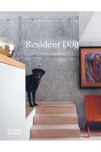 Gifts: Resident Dog