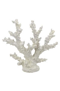 Chelsea Coral on Base