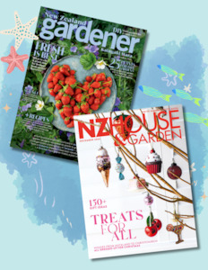 Magazines: 1 Year Summer Bundle Pack