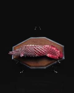 Sale: Articulated Pirarucu