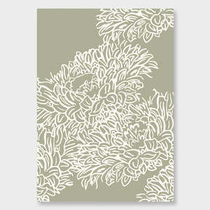 Kinu Collection: Kiku