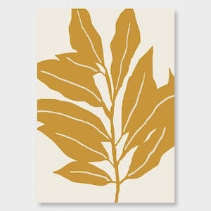 Kinu Collection: Happa