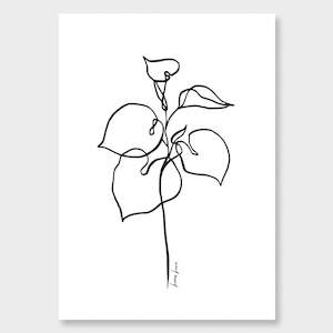 Faves Collection: Kawakawa