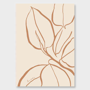 Faves Collection: Ficus