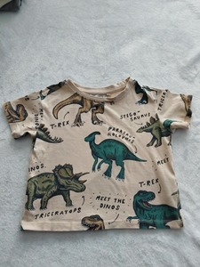 Preloved 1 2 Years: Preloved Dinosaur T-Shirt - Anko