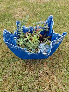 Garden Decor Pick Up Only: Handmade small cement planter with succulents.