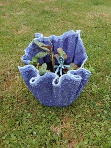 Handmade small cement planter with succulents.
