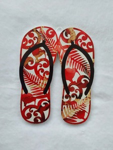 Kiwiana Jandals Wall Art