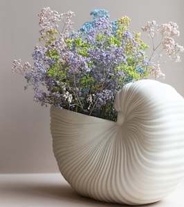 Shell Vase