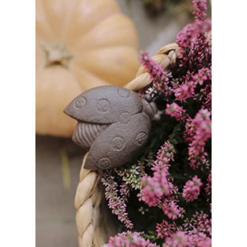 Decorative Objects: Cast Iron Insects