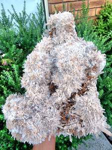 Whats New 1: Gypsum Crystal Cluster