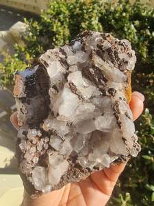 Whats New 1: Clear Columnar Calcite in Matrix