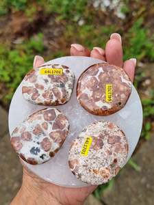 Crystals Flat Polished Stones: Garnet in Limestone Flat Stone