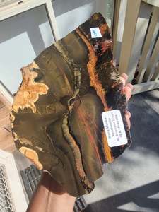 Fossil Specimens: Stromatolite Rough Slab