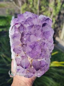 Crystals Freeform: Amethyst Geode Large