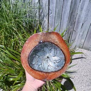 Home Decor 1: Coconut Paua Shell Bowl