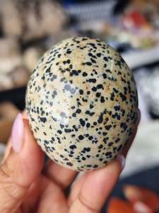 Crystals Palm Stone: Dalmatian Jasper Palm Stone