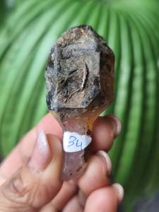 Crystals Amethyst: Amethyst Rough Sceptor