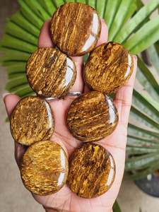 Bronzite Flatstone
