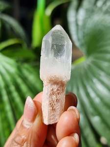 Crystals Quartz: Quartz Rough Sceptor