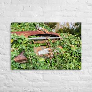 Austin Versus Nature Canvas Print