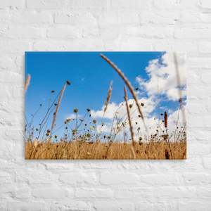New Zealand Abstracts: Hukatere Fields Canvas Print