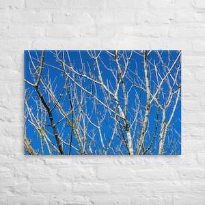 Kaipara Autumn Branches Canvas Print