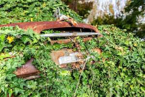 Austin Versus Nature Art Paper Poster