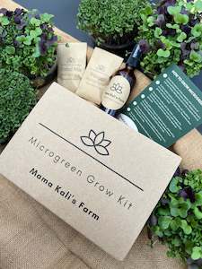 Frontpage: Microgreen Grow Kit