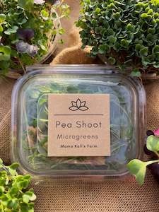 Fresh Hand Harvest Range: Microgreen Pea Shoot 45g