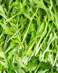 Products: Baby Rocket