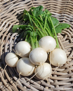 Products: Tokyo Turnips