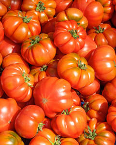 Tomatoes