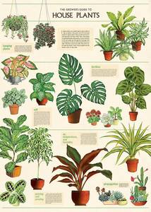 Books Puzzles: Cavallini & Co | Wrap or Print | House Plants