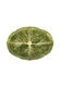 Radicchio Ceramic Platter - Green