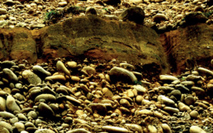 Products: Mammoth 2015 Ultic Steppe Mammoth Wines