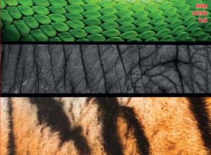 Products: Mammoth 2016 Three Skins [SOLD OUT] Mammoth Wines