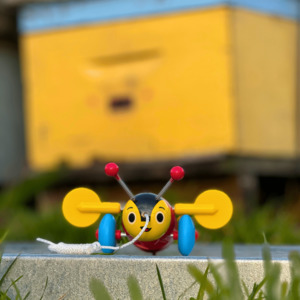 All Honey: Buzzy Bee Wooden Pull Along Toy