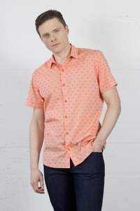 Accord Shirt Sherbet Spot