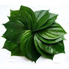 Products: Betel Leaves / Pan ka Patta 5 leaves