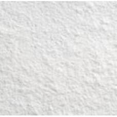 Keeping Fast: Rice Flour 1Kg