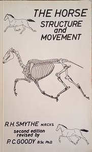The Horse Structure and Movement