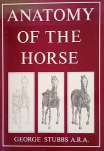 Anatomy of the Horse