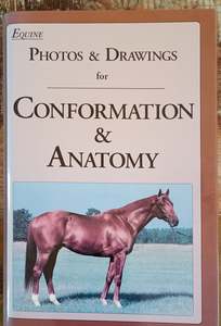 Biomechanics: Equine Photos & Drawings for Conformation & Anatomy