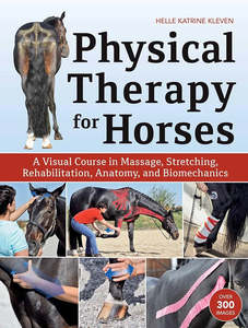 Bodywork: Physical Therapy for Horses