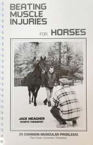 Bodywork: Beating Muscle Injuries in Horses