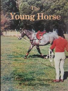 Breeding And Young Horses: The Young Horse