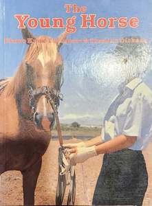 The Young Horse
