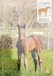 The Foal